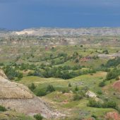  Theodore Roosevelt National Park